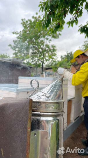 Курсы пчеловодства на пасеке