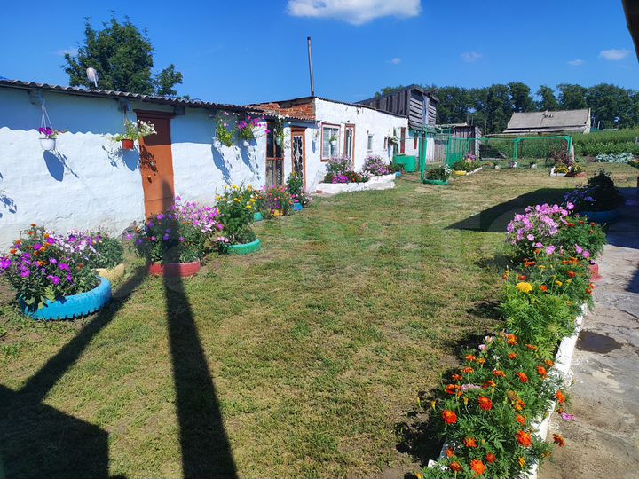 Дом 100 м² на участке 15 сот.