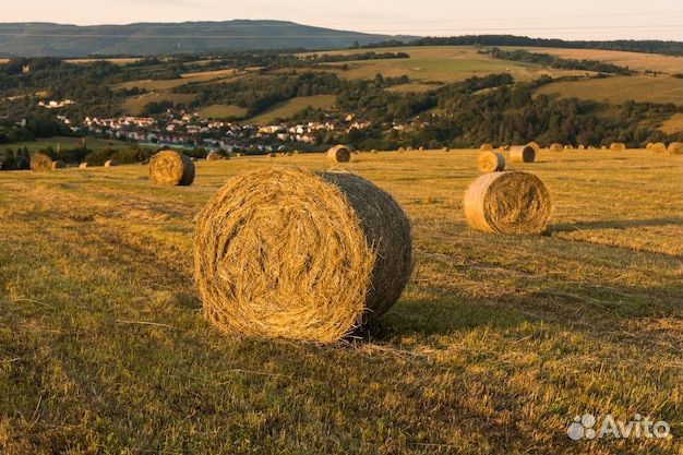 Сено в тюках