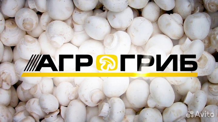 Рабочий на участок предварительных работ