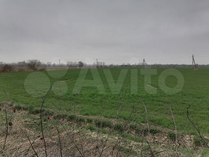 Участок 6,89 га (СНТ, ДНП)