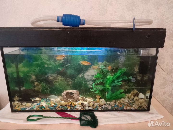 Аквариум