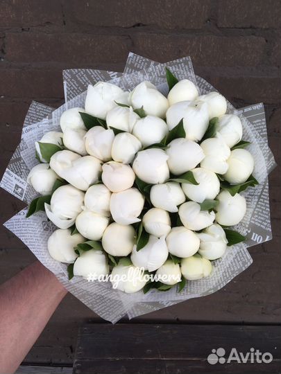 Белые пионы