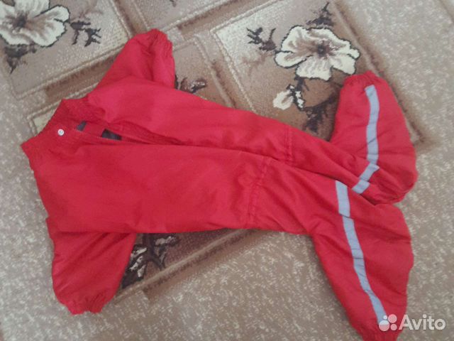 Костюм для средней породы девочка