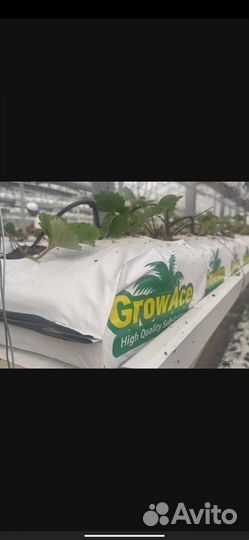 Кокосовый субстрат GrowAce