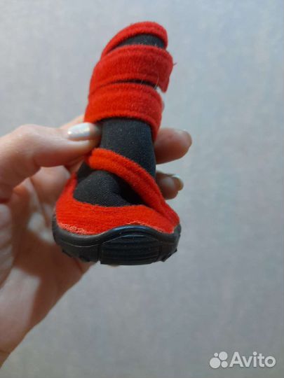 Обувь для собак