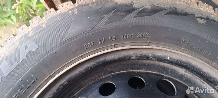 Formula Ice 195/65 R15