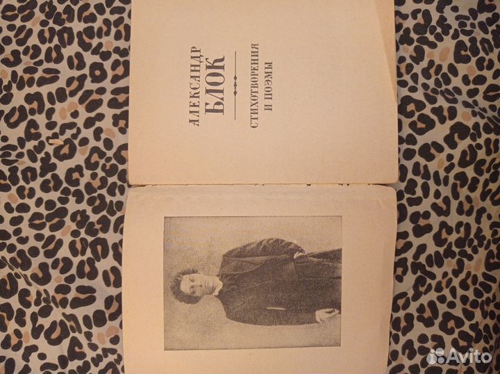 Александр Блок Стихотворения и поэмы 1981