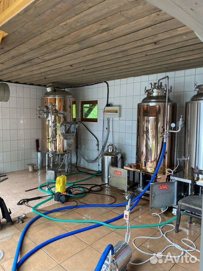 Запуск пивоварни