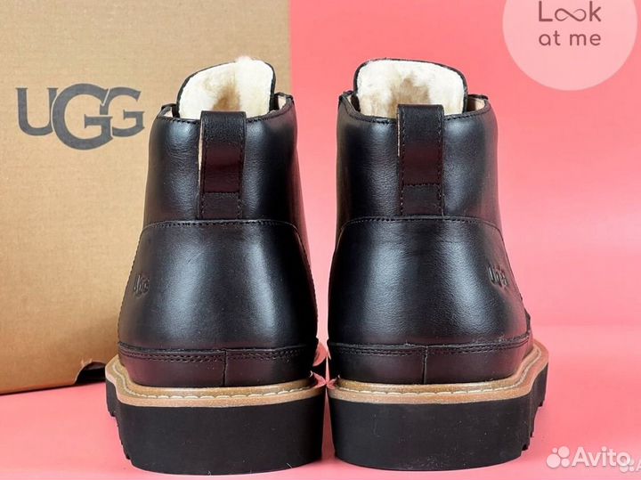 Ботинки мужские Ugg Mens Neumel Gentleman Black