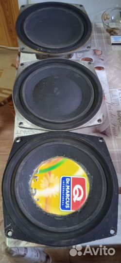 Динамики 75 гдн