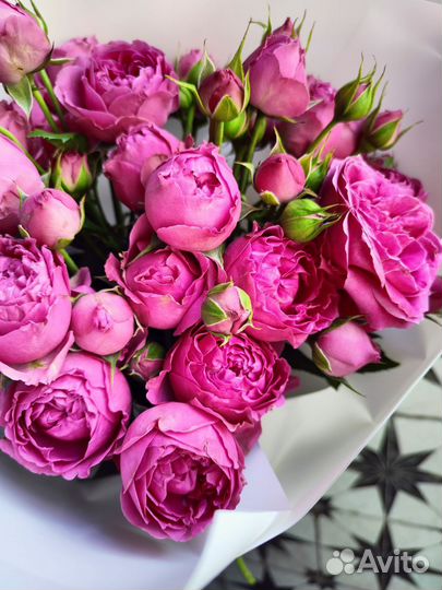 Кустовые пионовидные розы