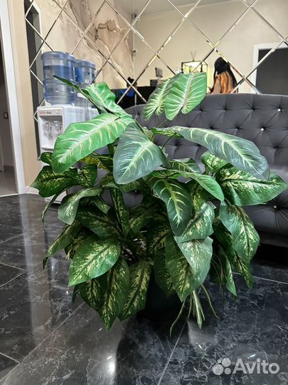 Искственный цветок Диффенбахия
