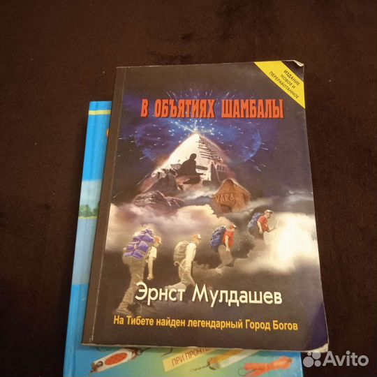 Эрнст Мулдашев 