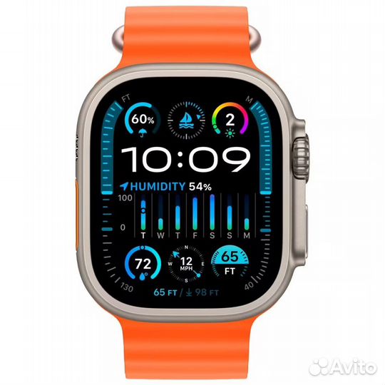 Watch Ultra 2 49mm Titanium Orange Ocean Band