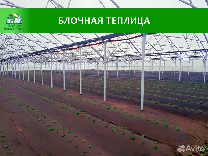 Промышленная теплица блочного типа