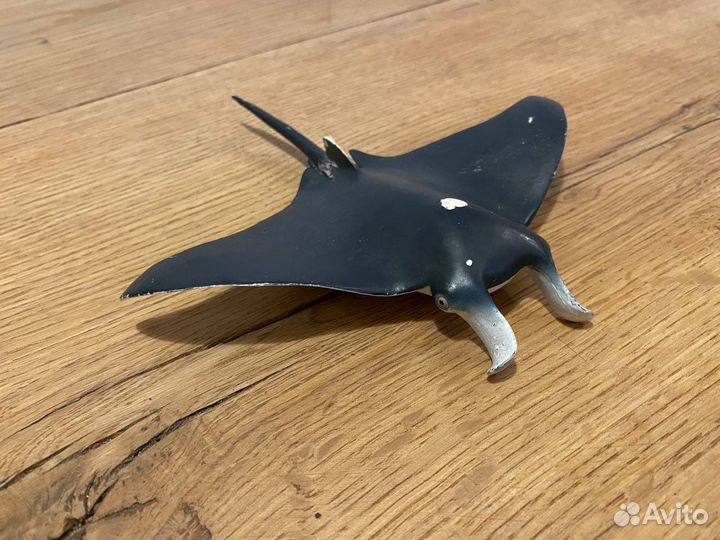 Большая Косатка и Кашалот большой