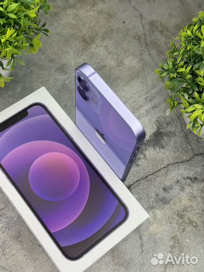 iPhone 12 mini, 256 ГБ