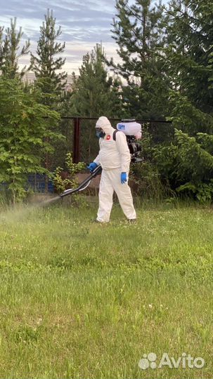 Обработка участка от клещей муравьев комаров