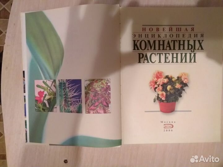 Энциклопедия комнатных растений