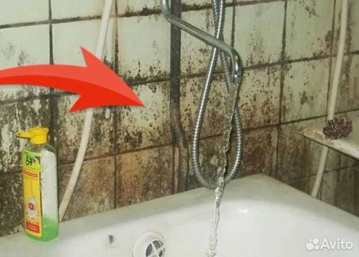 Уничтожение плесени, дезинфекция, дезинсекция