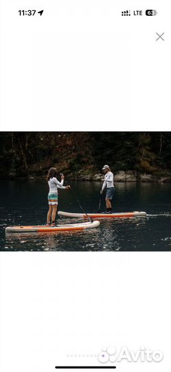 Sup board Shark (новые)