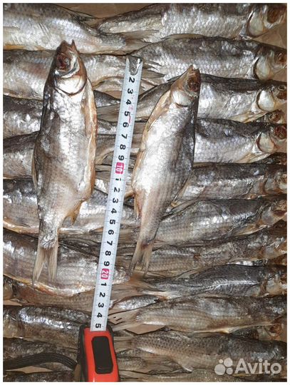 Астраханская рыба