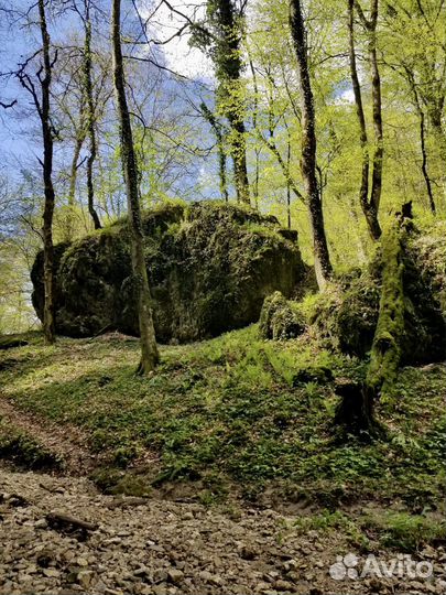 Поездки в горы