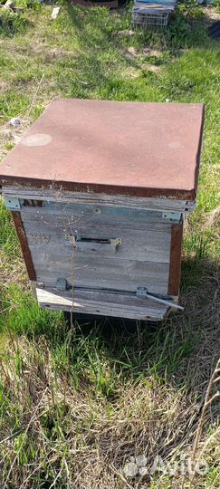 Улей 12 рамок