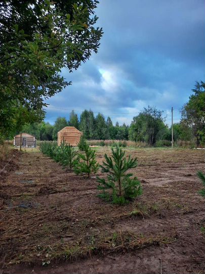 Участок 8 сот. (ИЖС)