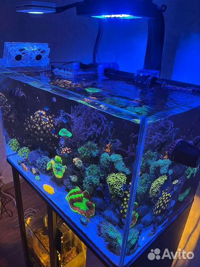 Морской аквариум 220 литров