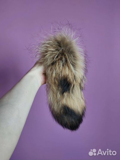 Хвост енота