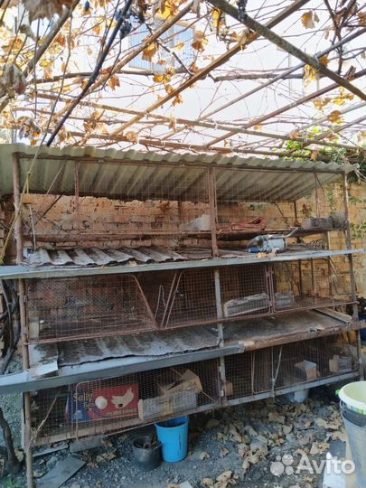 Крольчатник