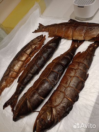 Рыба горячего копчения, вяленая
