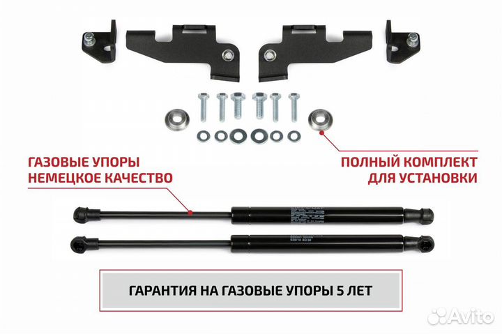 Газовые упоры капота Ford Focus II 05-11