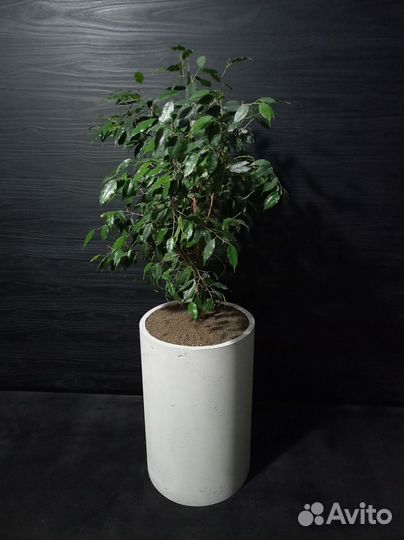 Кашпо, Вазоны, Горшки под заказ из бетона арт 171