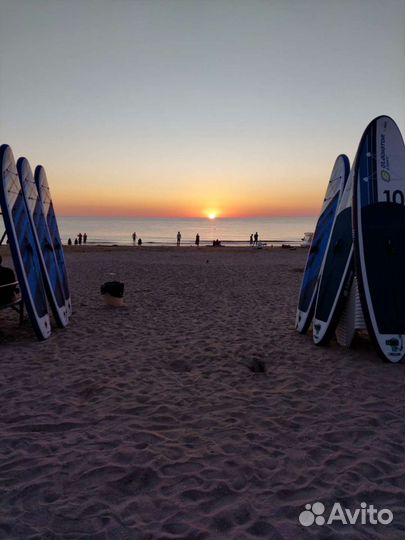 Аренда Сап борда sup board