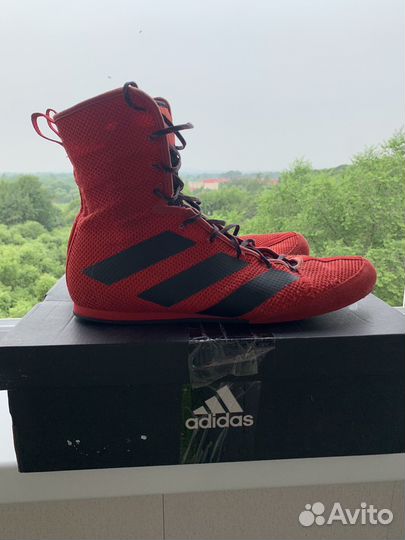 Боксерки adidas box hog 3