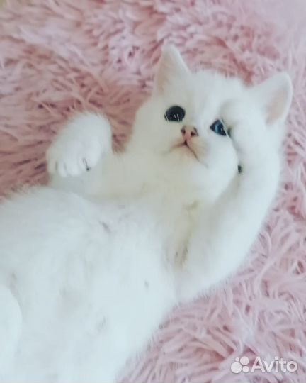 Мальчик с голубыми глазками