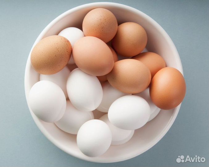 Домашние куриные яйца
