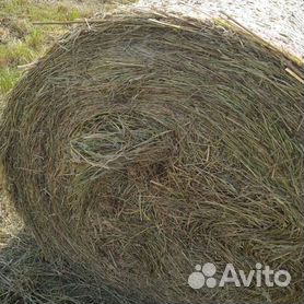 Сено в тюках луговое разнотравное