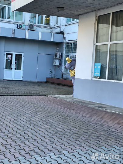 Аренда костюма ростовой куклы Мишки Тедди