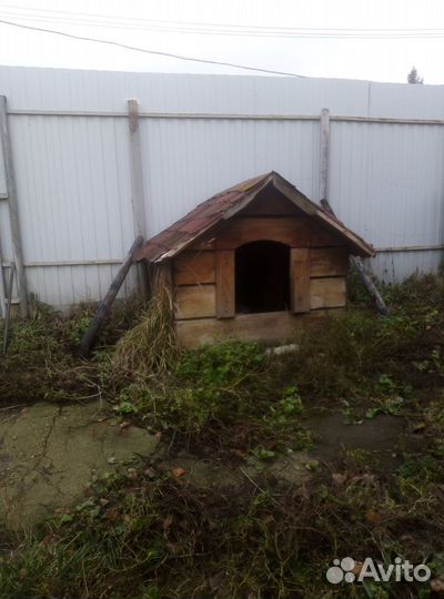 Будка для собаки