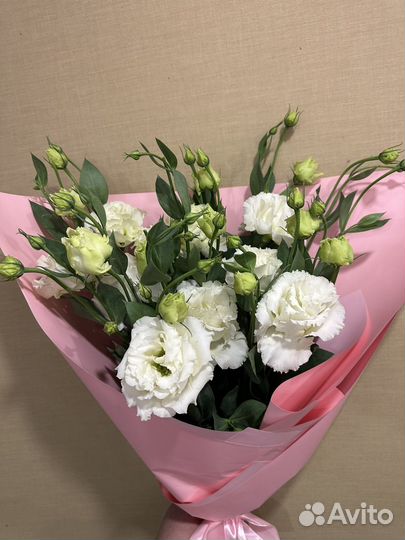 Цветы эустома