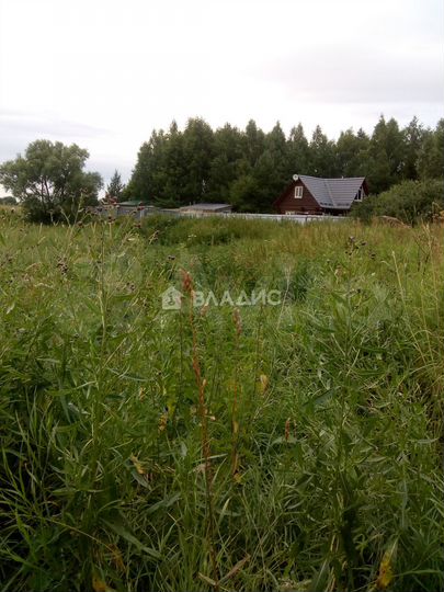 Участок 15,5 сот. (ИЖС)