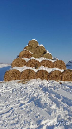 Сено в рулонах