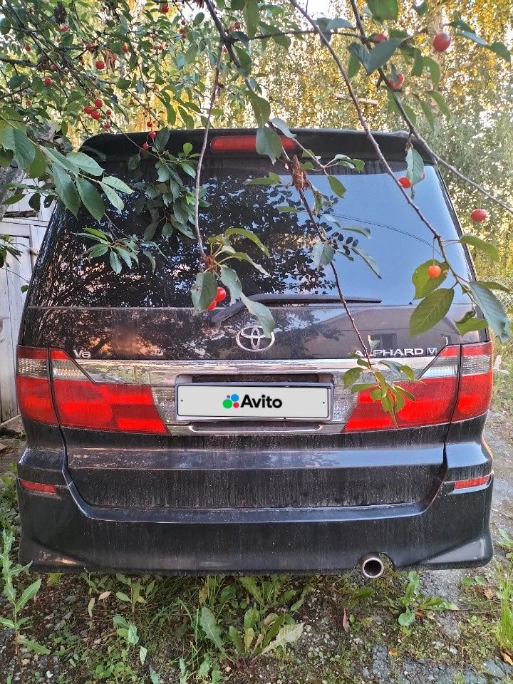 Toyota Alphard: фото владельца