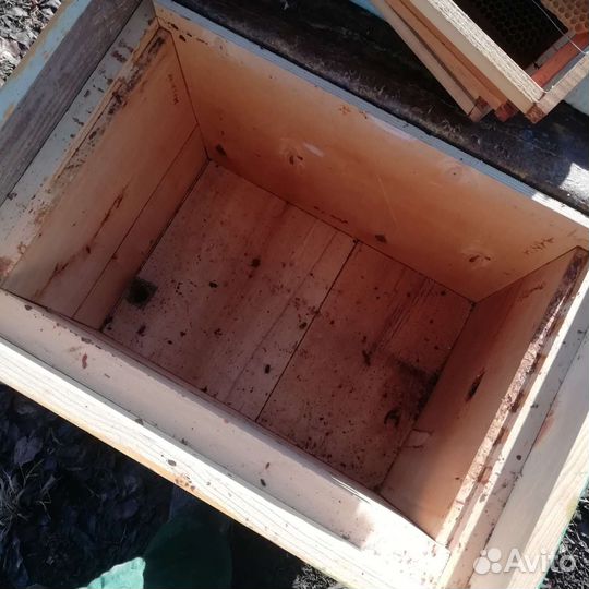 Продам ульи для пчел