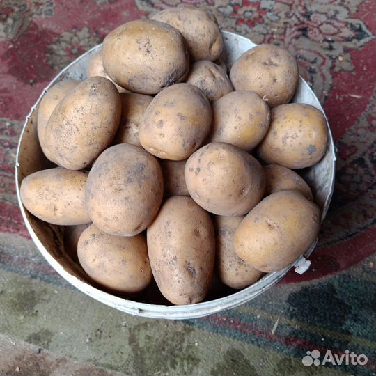 Картофель с доставкой