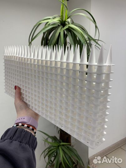 Противоприсадные шипы от птиц 45х4,5см 12шт